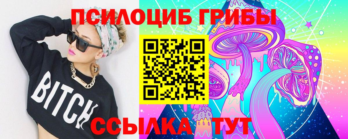 Галлюциногенные грибы Psilocybe Королёв