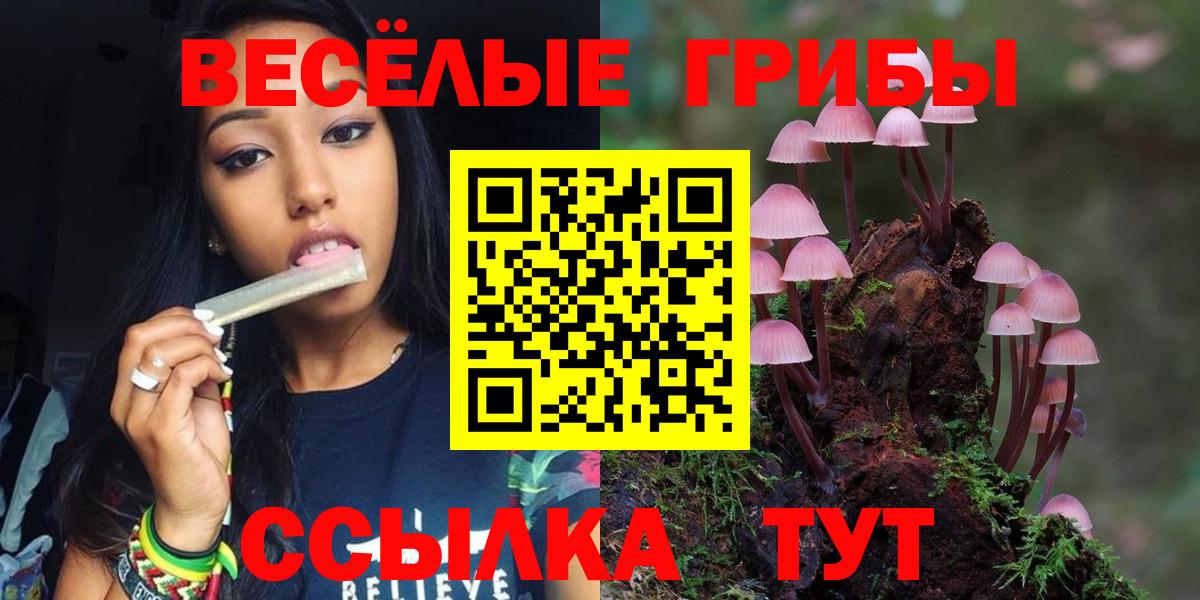 Королёв  Псилоцибиновые грибы Psilocybine cubensis  Псилоцибиновые грибы Psilocybe  Вход с VPN 